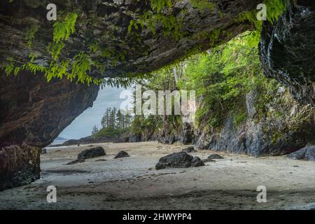 Rocky Shoreline im Cape Scott Provincial Park, San Josef Bay, Vancouver Island, British Columbia, Kanada Stockfoto