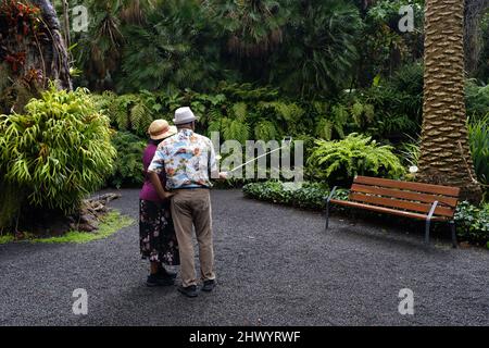 Zwei ältere Menschen, die ein Selfie im botanischen Garten von Puerto de la Cruz auf Teneriffa machen. Stockfoto