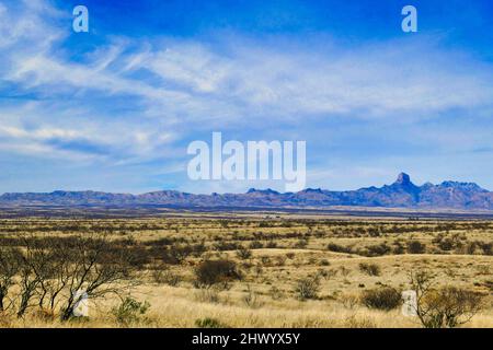 Das Grasland der Sonora-Wüste im Nationalen Wildschutzgebiet von Buenos Aires, Arizona, USA. Baboquivari Mountains und der Baboquivari Peak im Hintergrund Stockfoto