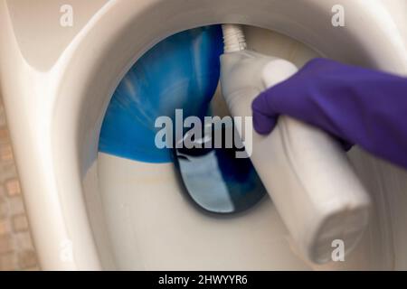 Waschen der Toilettenschüssel im Badezimmer mit Waschmittel und Gummihandschuhen. Das Konzept der Reinigung und Sauberkeit. Stockfoto