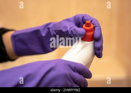 Hände in violetten Schutzhandschuhen aus Gummi halten eine weiße Kunststoffflasche mit Waschmittel und Schrauben den roten Verschluss ab. Das Konzept der Reinigung und Sauberkeit Stockfoto