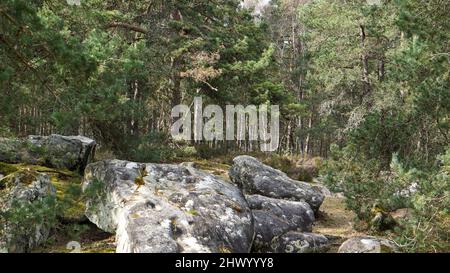 Rochers - Forêt de Fontainebleau en seine-et-Marne (Frankreich) Stockfoto