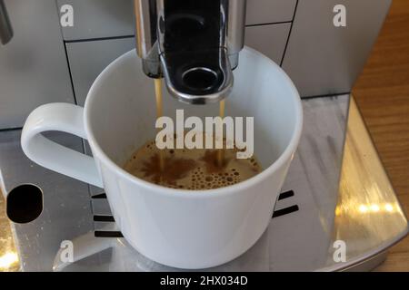 Kaffeemaschine für Bohnen und Tassen, gießt frischen Kaffee in die weiße Tasse mit Crema Stockfoto