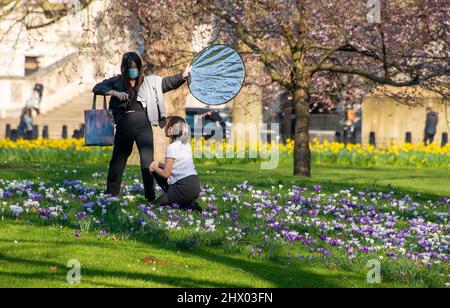 London, England, Großbritannien. 8. März 2022. Fotografen zogen die Frühlingsblumen an einem schönen Tag im Hyde Park, London, Großbritannien, an. Quelle: John Eveson/Alamy Live News Stockfoto