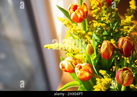 Tulpenblüten auf dem Tisch neben dem Fenster. Grußkartenhintergrund. Selektiver Fokus und geringe Schärfentiefe. Stockfoto