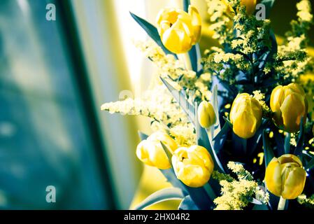 Tulpenblüten auf dem Tisch neben dem Fenster. Moody Hintergrund. Foto im Retro-Blau-Gelb. Selektiver Fokus und geringe Schärfentiefe. Stockfoto