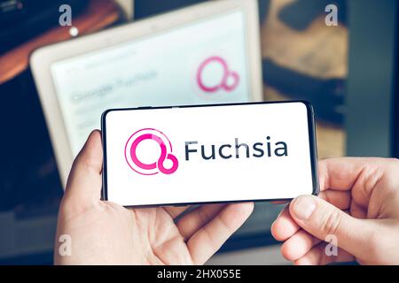 Moskau Russland 25.12.2021 Logo von Fuchsia. Open-Source-Betriebssystem, das von Google entwickelt wurde. Mann, der das Mobiltelefon in den Händen hält. Stockfoto