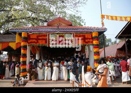 (3/7/2022) Chettikulangara Bharani ist ein spektakuläres Fest, das im Chettikulangara Tempel in der Nähe von Mavelikara in Alappuzha gefeiert wird. Das Festival findet während des Malayalam-Monats Kumbham (Februar-März) statt und ist der Göttin (Bhagavathy) gewidmet. Die ganze Stadt erwacht zum Leben und die Heiterkeit bedeckt ihre Landschaft. Dieses Fest wird gefeiert, um der Gottheit gute Wünsche für ihre Reise zu senden, um ihre Mutter im Sree Kurumba Devi Tempel, Kodungalloor, zu besuchen. Am Abend werden die Tempelräume mit 100 unterschiedlich großen dekorierten Bildnis von Kuthira und Theru gefüllt, die hauptsächlich in den Tempel m gebracht werden Stockfoto