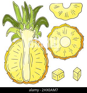Ananas. Satz von Vektorgrafiken im handgezeichneten Stil. Kinderzeichnungen, Poster mit Früchten. Sammlung von Symbolen, Schilder, Aufkleber Stock Vektor