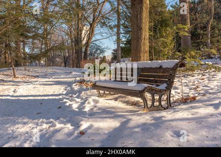 Eine mit Schnee bedeckte Bank im Botanischen Garten von Montreal, aufgenommen an einem sonnigen Wintertag Stockfoto