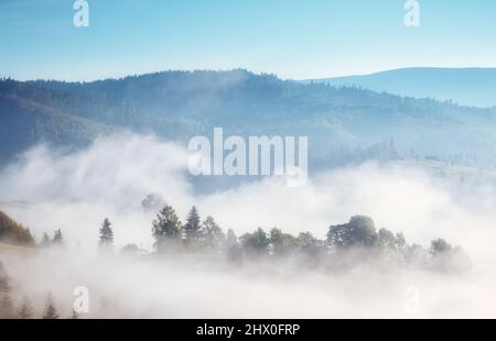 Toller Blick auf das Alpental, das durch Sonnenlicht glüht. Malerische und wunderschöne Morgenszene. Beliebte Touristenattraktion. Lage, Place Carpathia Stockfoto