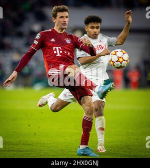 Thomas Mueller (München), Karim Adeyemi (Salzburg) FC Bayern München gegen Red Bull Salzburg 08.03.2022, Fussball; Champions League, Saison 2021/22 Foto: Moritz Müller Copyright (nur für journalistische Zwecke) by : Moritz Müller, Wilhelm-Raabe-Str.18, 40470 Düsseldorf. Tel 0211-13954918. MB.: 0176-81034275; Honorar zzgl. 7 % UmSt. + Belegexemplar; Commerzbank, Konto: 3813045, BLZ: 30040000; IBAN: DE49 3004 0000 0381 3045 00; Finanzamt Düsseldorf-Nord, Steuernummer: 105/5193/1677 Stockfoto