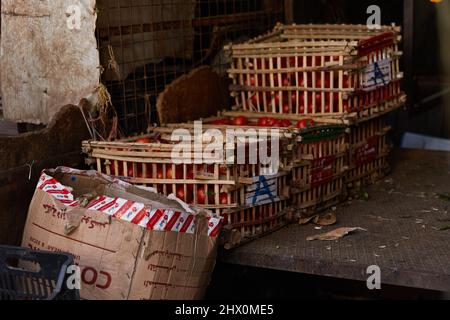 HURGHADA, ÄGYPTEN - 20. FEBRUAR 2022: Frische Tomaten in Schachteln auf dem ägyptischen Markt. Frisches Gemüse im Straßenbasar Stockfoto