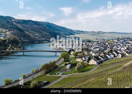 Mehring, Rheinland-Pfalz - Deutschland - 04 12 2019 - Blick über das Dorf Mehring mit der gewundenen Mosel, umgeben von Weinbergen Stockfoto