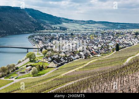 Mehring, Rheinland-Pfalz - Deutschland - 04 12 2019 - Blick über das Dorf Mehring mit der gewundenen Mosel, umgeben von Weinbergen Stockfoto