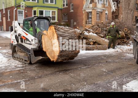 Detroit, Michigan - Arbeiter der Detroit Grounds Crew entfernen unerwünschte und kranke Bäume in einem Viertel von Detroit. Stockfoto