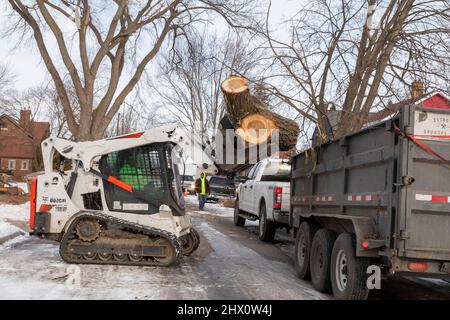 Detroit, Michigan - Arbeiter der Detroit Grounds Crew entfernen unerwünschte und kranke Bäume in einem Viertel von Detroit. Stockfoto