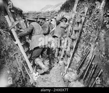 Die Sapper der Royal Engineers befestigen am 8. April 1917, dem Tag vor der Eröffnung der Arras-Offensive, in den Schützengräben an vorderster Front abschneidende Leitern. Stockfoto