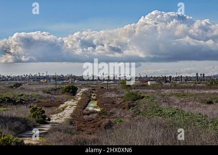 Los Cerritos Wetlands, einst ein blühendes Feuchtgebiet, ist heute größtenteils in Privatbesitz und wird für die Ölgewinnung und -Verarbeitung verwendet. Long Beach, Cali Stockfoto