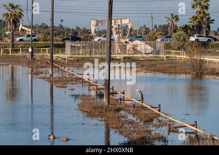 Los Cerritos Wetlands, einst ein blühendes Feuchtgebiet, ist heute größtenteils in Privatbesitz und wird für die Ölgewinnung und -Verarbeitung verwendet. Long Beach, Cali Stockfoto