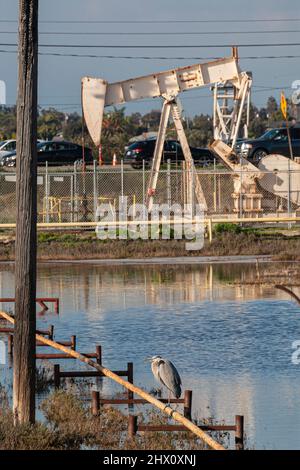 Los Cerritos Wetlands, einst ein blühendes Feuchtgebiet, ist heute größtenteils in Privatbesitz und wird für die Ölgewinnung und -Verarbeitung verwendet. Long Beach, Cali Stockfoto