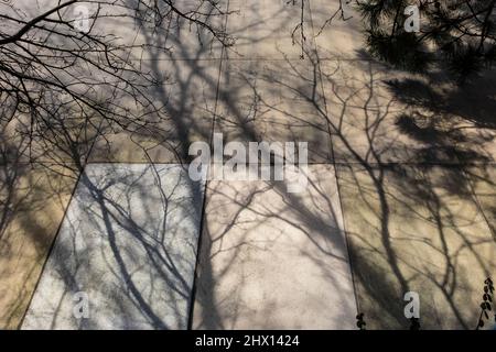 Winterbaumschatten fallen über eine Mauer in der Innenstadt von Battle Creek, Michigan, USA [Keine Eigentumsfreigabe; nur redaktionelle Lizenzierung] Stockfoto