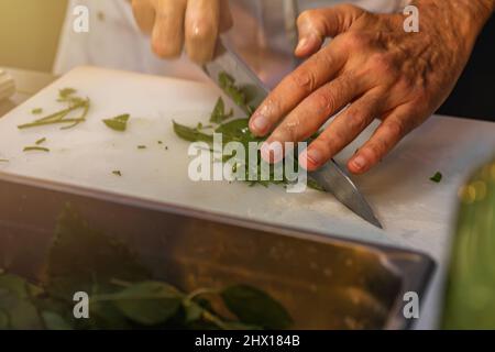 Nahaufnahme der Hände eines professionellen Küchenchefs, der frischen Orangen hackt Stockfoto