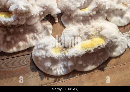 Weiß gelb flauschiger Schimmelpilz auf Holzbrett im Keller, Dachboden, Keller im Wohngebäude. Stockfoto