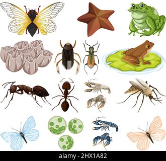 Verschiedene Arten von Insekten und Tieren auf weißem Hintergrund Illustration Stock Vektor