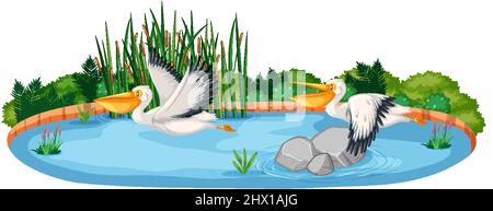 Szene mit zwei pelikanischen Vögeln Illustration Stock Vektor