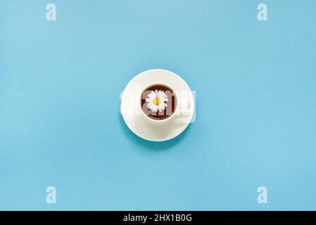 Weiße Tasse Tee Kamille und Untertasse auf blauem Hintergrund, Draufsicht Copy Space, Flat Lay Stockfoto