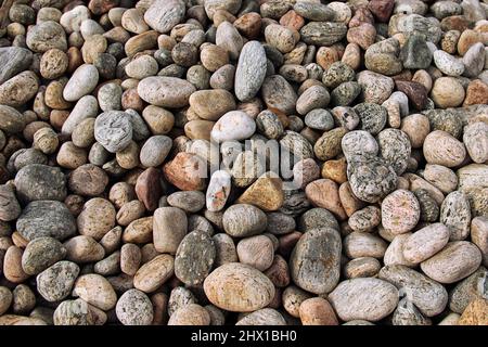 Kieselsteine am Strand des Baikalsees Stockfoto