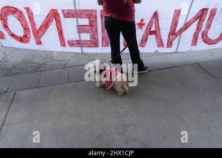 Santiago, Metropolitana, Chile. 8. März 2022. Eine gekleidete Hündin mit ihrer Besitzerin, die an einem marsch entlang der Straßen im Rahmen des Internationalen Frauentags in Santiago, Chile, am 8. März 2022, teilnimmt. (Bild: © Matias Basualdo/ZUMA Press Wire) Stockfoto
