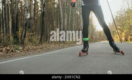 Training eines Athleten auf den Rollern. Biathlon-Fahrt auf den Rollskiern mit Skistöcken, im Helm. Herbsttraining. Rollensport. Erwachsener Mann, der auf Schlittschuhe reitet. Schießen eines Sportlers in Bewegung. Stabilisator der beweglichen Plattform. Zeitlupe. Stockfoto