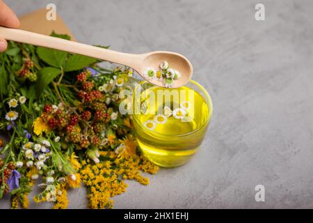 Gebrautes köstliches Kräutergetränk auf grauem Hintergrund. Stockfoto