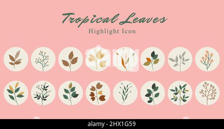 Set von tropischen Blatt botanischen Symbol Social Media Highlight Story Vorlage Banner mit bunten Boho Stil Farbkombination Hintergrund. Vektor illustrr Stock Vektor