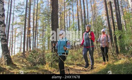 Frau macht Nordic Walking in der Natur. Mädchen und Kinder verwenden Trekkingstöcke und nordische Stöcke, Rucksäcke. Die Familie reist und geht in den Sport. Das Kind lernt von Mutter und Großmutter die richtige Technik des nordic Walkens. Herbstwald. Stockfoto