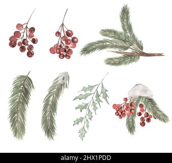 Weihnachten Blumen Cliparts Set, Aquarell Winter Urlaub Party Dekoration, Kiefer Baum, Beeren Illustration Stockfoto
