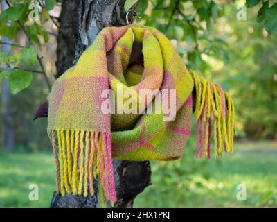 Regenbogen Schal mit Fransen auf einem Kleiderbügel im Baum. Drapierter Schottenstoff im Freien, selektiver Fokus Stockfoto