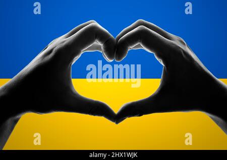 Hände in Herzform auf der ukrainischen Flagge. Hilf der Ukraine während des Krieges Stockfoto