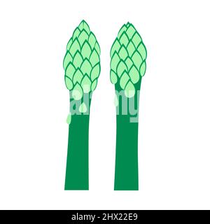 Spargel. Bio grünes Gemüse isoliert auf weißem Hintergrund. Gesunder Lebensstil. Vektorgrafik im flachen Stil. Stock Vektor