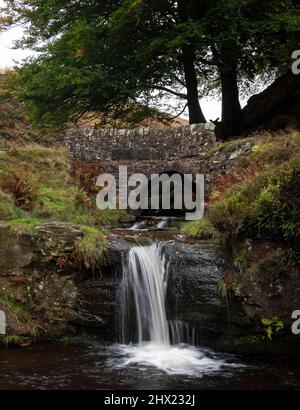 Three Shires Head, AX Edge Moor, wo Cheshire, Derbyshire und Staffordshire aufeinander treffen, England, Großbritannien Stockfoto