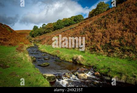 Fluss Dane fließt ein Tal weg von Three Shires Head im Peak District National Park England Stockfoto