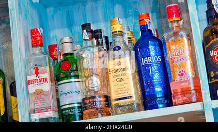 Farbige Gin-Likörflaschen an der Bar Stockfoto