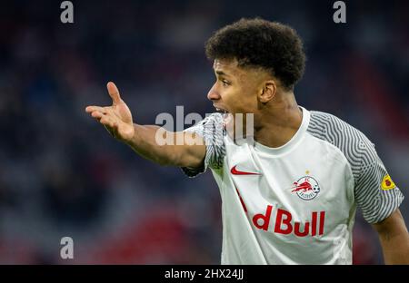 Karim Adeyemi (Salzburg) FC Bayern München gegen Red Bull Salzburg 08.03.2022, Fussball; Champions League, Saison 2021/22 Foto: Moritz Müller Copyright Stockfoto