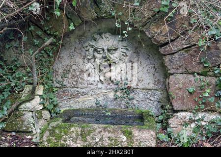 Eine Wasserrinne im Fern Dell in der Ecke der formalen Gärten des Mount Edgcumbe Estate auf dem Rame Penisula im Südosten Cornwalls. Ein Favorit Stockfoto