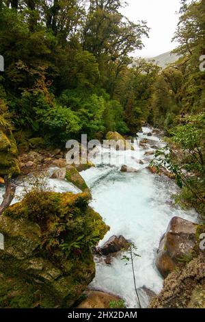 Lake Marian Falls Track, Wasserfall in Fiordland, Neuseeland mit einheimischer Regenwaldflora Stockfoto