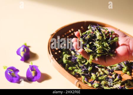 Bona Telang Kering oder getrocknete Butterfly Pea Blumen auf gewebtem Bambusblech. Isolierter Hintergrund. Stockfoto