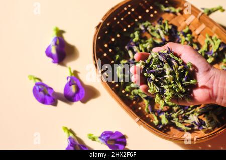 Bona Telang Kering oder getrocknete Butterfly Pea Blumen auf gewebtem Bambusblech. Isolierter Hintergrund. Stockfoto