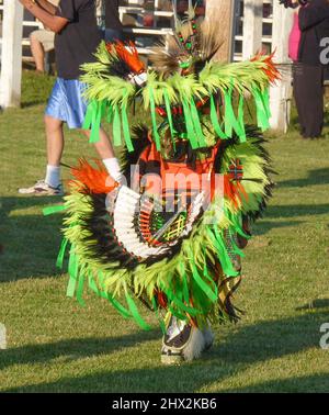 Junge indianische Tänze, die an dem Pow Wow Festival in Kostümen teilnehmen. Stockfoto